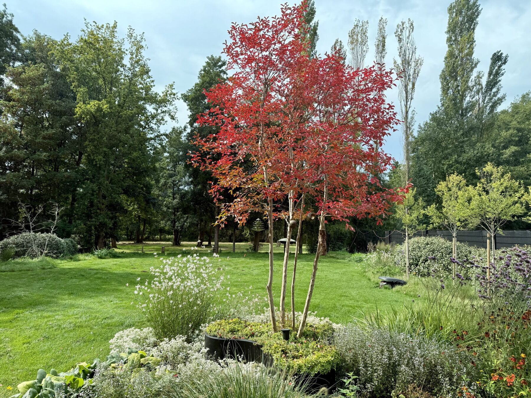 Beplanting & groenaanleg realisatie 2
